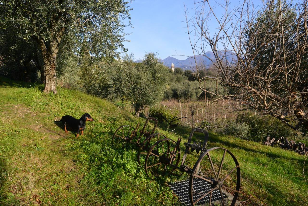Antiche Mura Casa Vacanze بويجناجو المظهر الخارجي الصورة