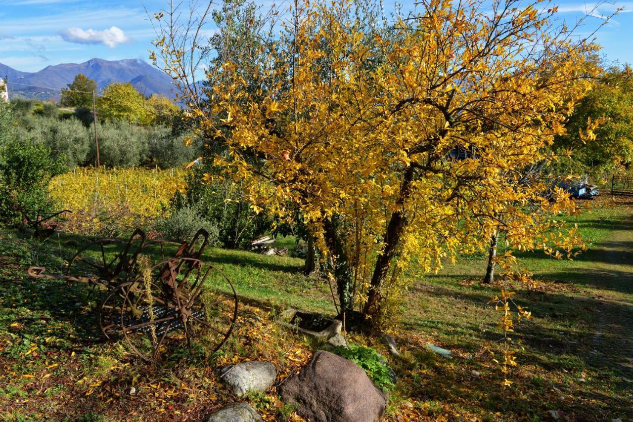 Antiche Mura Casa Vacanze بويجناجو المظهر الخارجي الصورة
